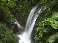 Monteverde (Area)