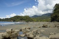 Beautiful Beach Landscape at Playa Tortuga