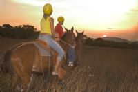 Travel on horseback through Guanacaste