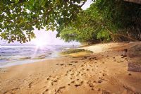 The Caribbean, Costa Rica's most exotic side