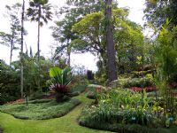 Wilson Botanical Gardens