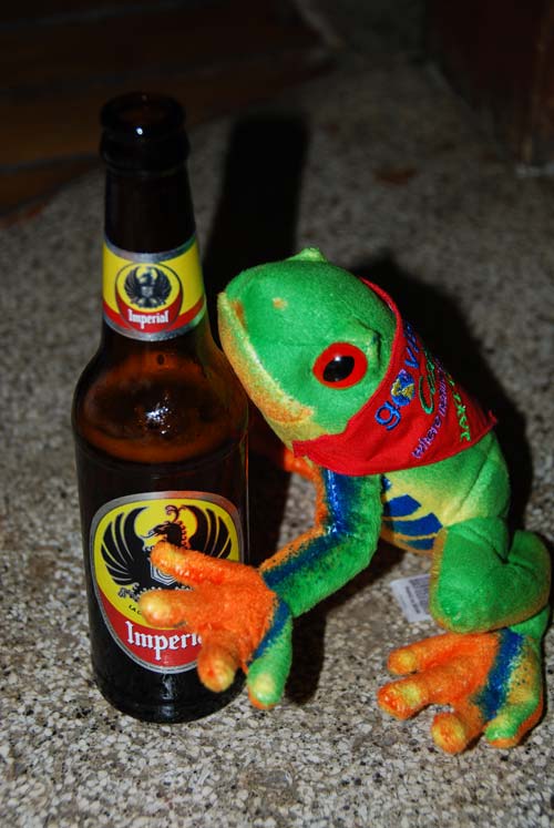 Javi the Frog drinking an Imperial Beer