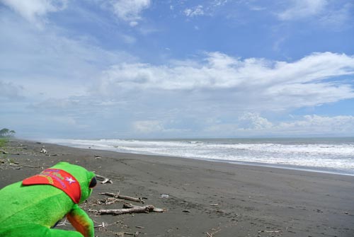 Javi the Frog looking the ocean in Playa Hermosa