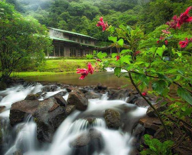 Relax right here at Bosque de Paz