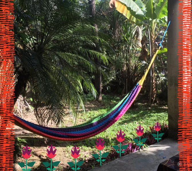 Just relax and enjoy at La Palapa Eco Lodge Resort