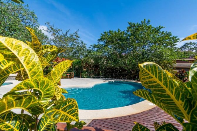 Family pool at Hotel El Silencio del Campo