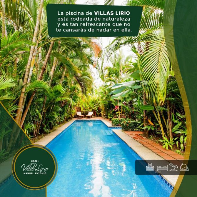 Delicious pool at Hotel Villas Lirio