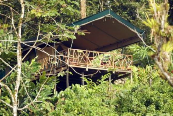 Cabin at Rafiki Safari Lodge