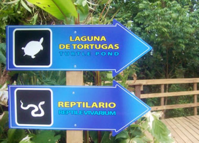 Attractions at Veragua Rainforest Research & Adventure Park