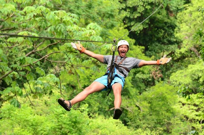 Zip Line Canopy Tour 