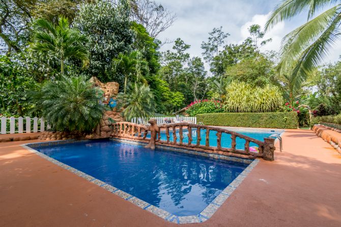 Swimmingpool at Ara Ambigua Lodge