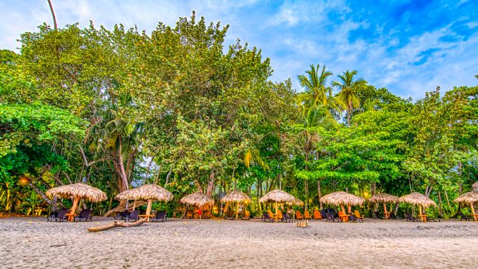 Beach chairs at Hotel Banana Azul