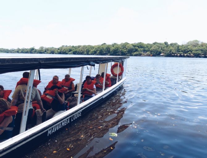 Tortuguero canal boat tour