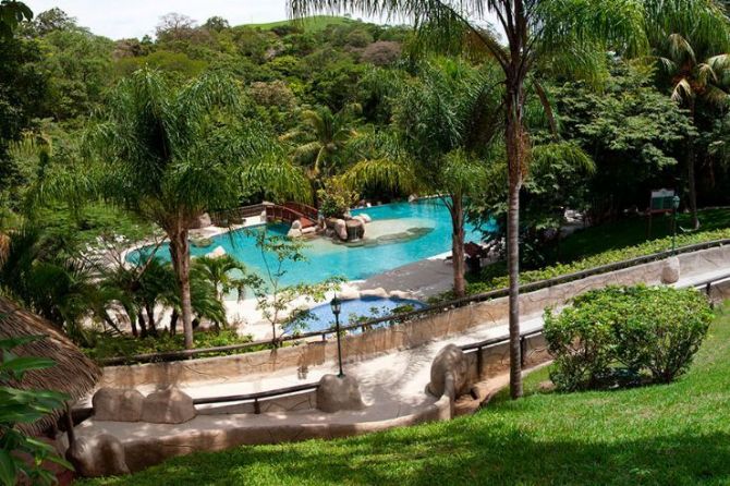 Swimming Pool Next to Forest