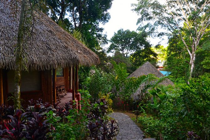 Amazing bungalows at Luna Lodge