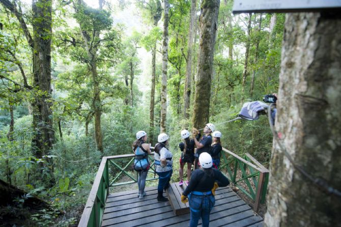 Canopy tours available