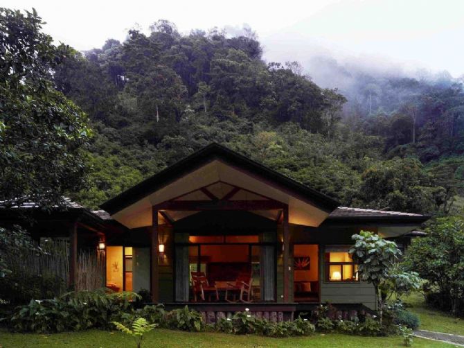 The Cloud Forest at El Silencio Lodge