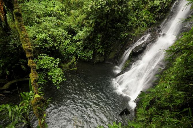 Hike to waterfalls near El Silencio Lodge