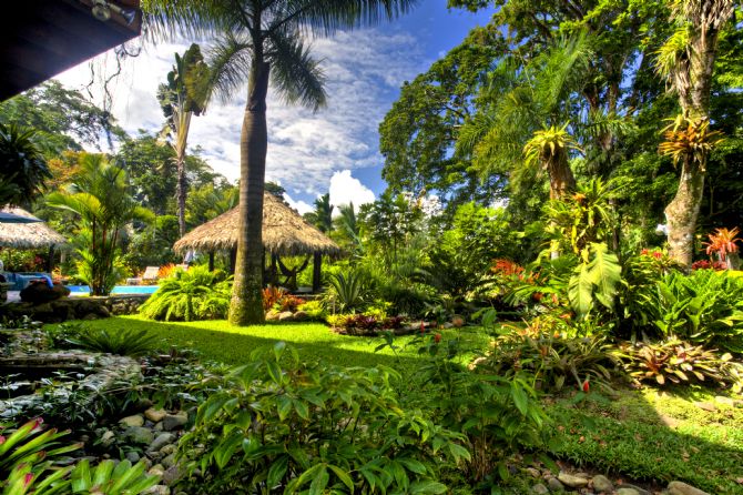 Beautiful gardens at Hotel Banana Azul