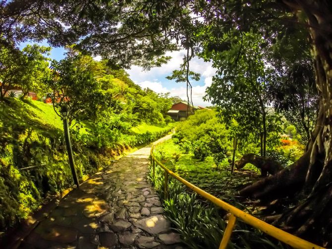 Path at Hotel Heliconia