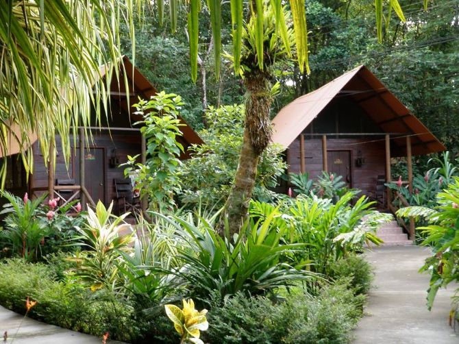 Beautiful room in the jungle