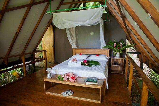 Tiki Hut Tree House Room