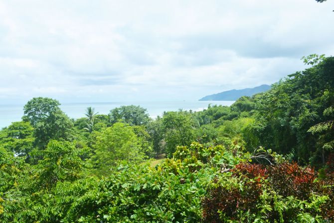 View from The Lookout Inn Lodge