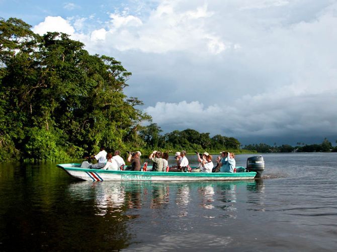 Canals tour at Pachira Lodge Tortuguero