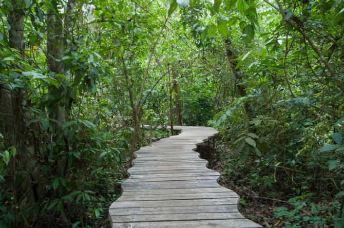 Nature paths at Danta Corcovado Lodge