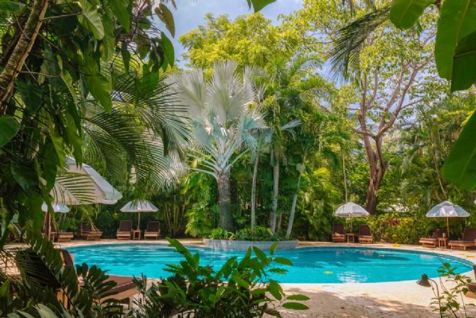 Pool & Gardens at The Harmony Hotel