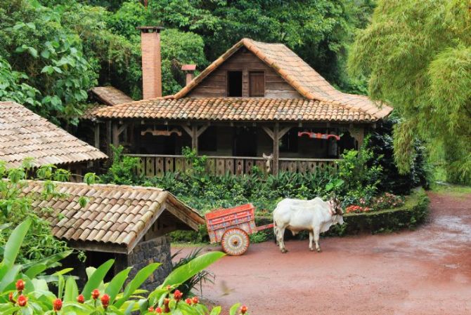 Casita de la Paz with Traditional Ox Cart