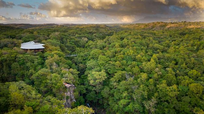 Tropical rainforest around Rio Perdido Hotel & Thermal River