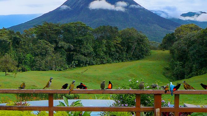 Birdwatching with amazing views at Arenal Lodge