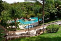 Swimming Pool Next to Forest