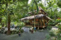 Dream Palm House, Congo Bongo Ecolodge