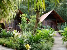 Beautiful room in the jungle