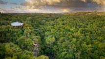 Tropical rainforest around Rio Perdido Hotel & Thermal River