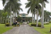 Beautiful cart outside Casa Turire