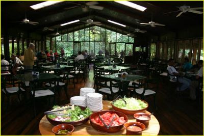 Selva Verde Lodge Go Visit Costa Rica