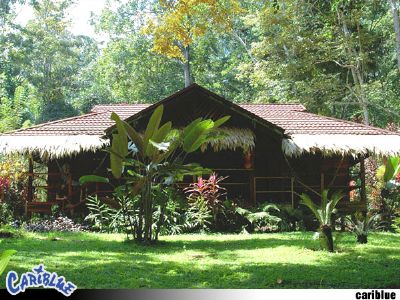 Cariblue Beach and Jungle Resort in Cahuita: Find Hotel Reviews, Rooms, and  Prices on