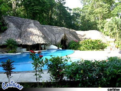 Cariblue Beach Jungle Resort Go Visit Costa Rica - 