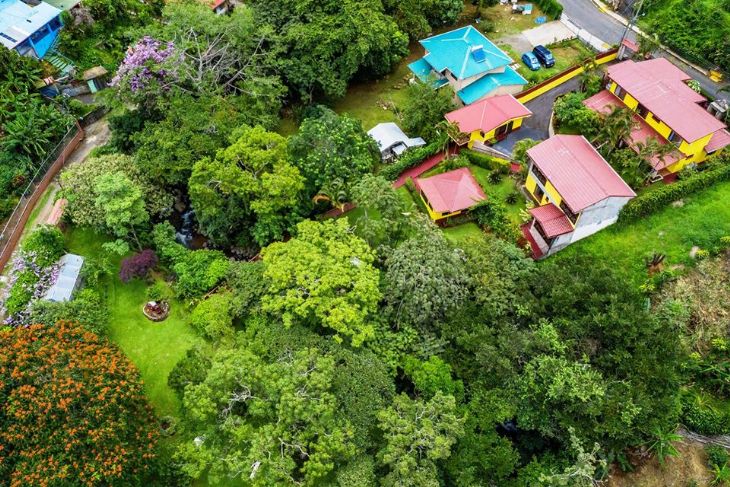 Surround by trees at La Terraza Guest House