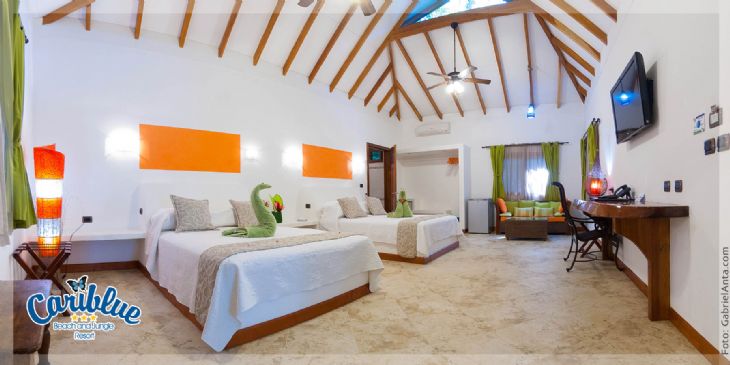 Junior Suite Room