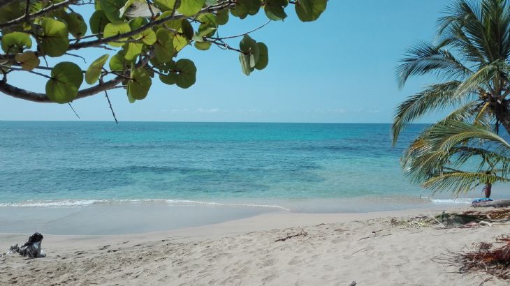 Punta Uva